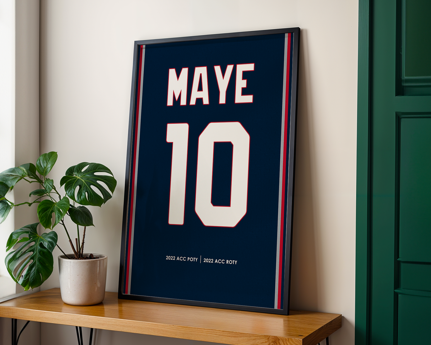 Framed sports jersey with 'MAYE 10' on a wooden shelf next to a plant.