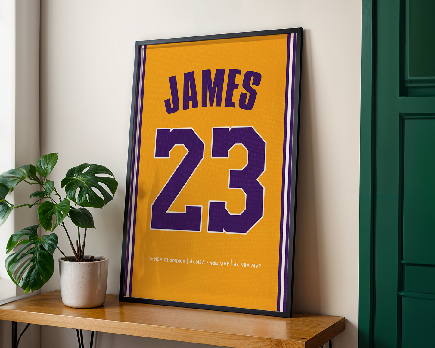 Framed sports jersey with 'JAMES 23' on a wooden shelf next to a plant.