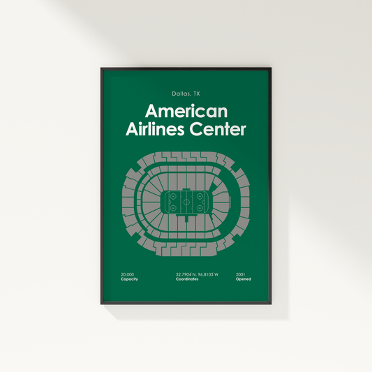 American Airlines Center Bold Hockey