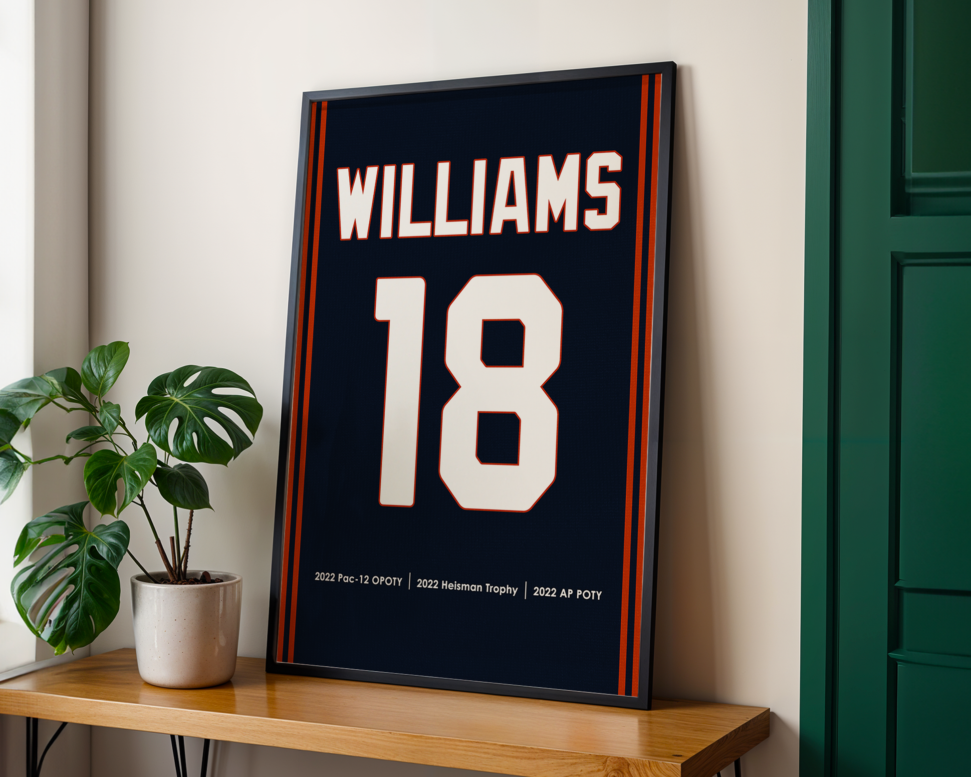 Framed sports jersey with 'Williams' and number '18' on a wooden shelf.