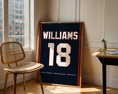 Framed sports jersey with 'Williams' and number '18' in a room with a window and chair.