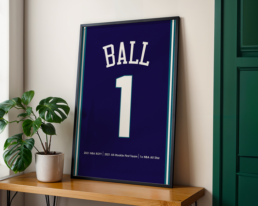 Framed sports jersey with 'BALL 1' on a wooden shelf next to a plant